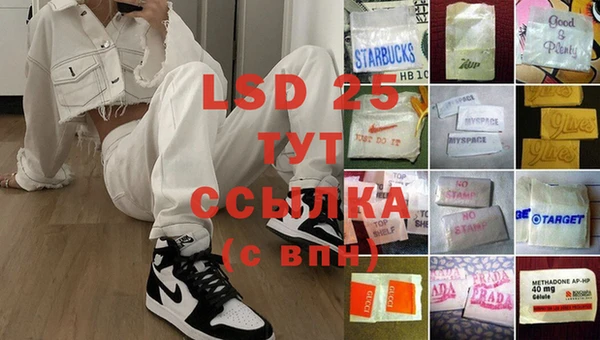 PSILOCYBIN Баксан