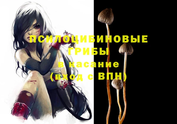 ПСИЛОЦИБИНОВЫЕ ГРИБЫ Балахна
